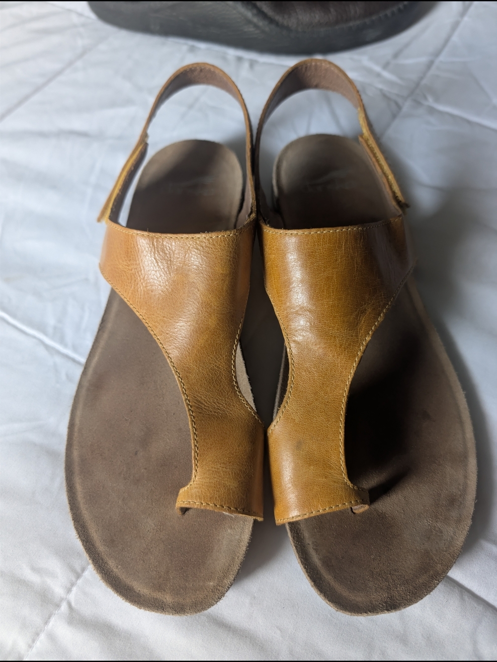 Dansko Honey Distressed Leather Toe-Loop Slingback Sandal - Picture 5 of 7